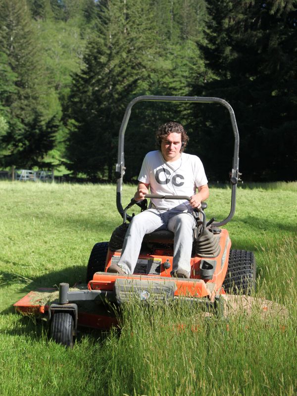 Landscaping